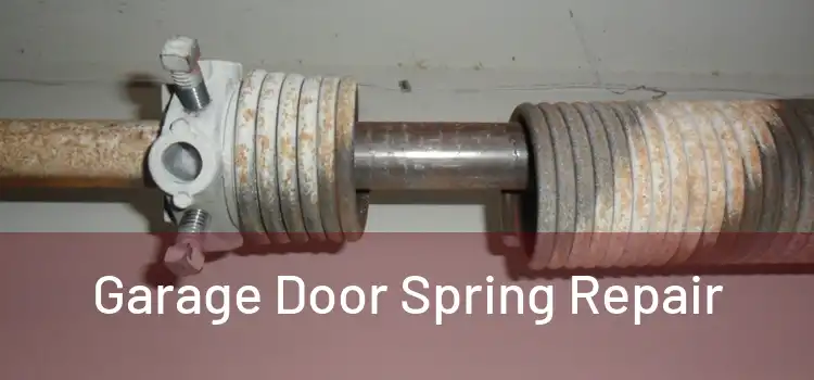  Garage Door Spring Repair 