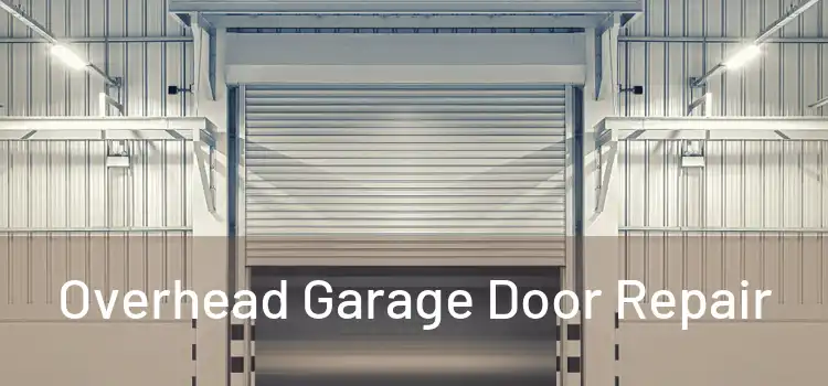  Overhead Garage Door Repair 